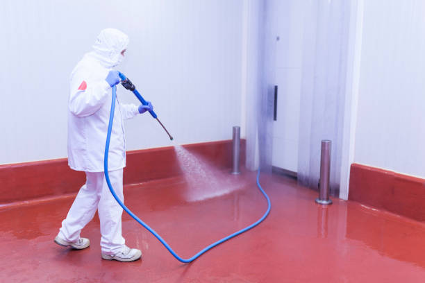 Best Oil Spill Cleanup  in Menonee, MI
