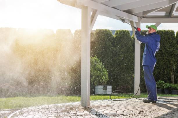Best Pre-Holiday Cleaning  in Menonee, MI